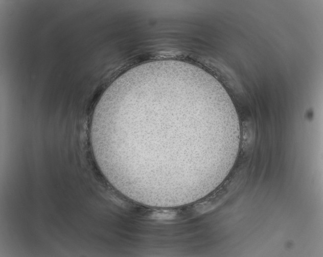 X0000116350369201001131111