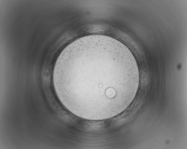 X0000116350370201001131111