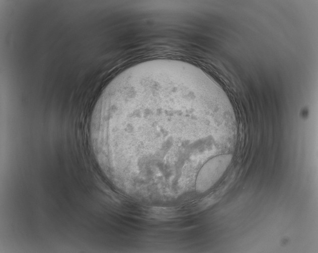 X0000116350371201001131111