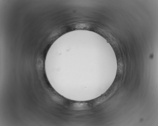 X0000116350375201001131111