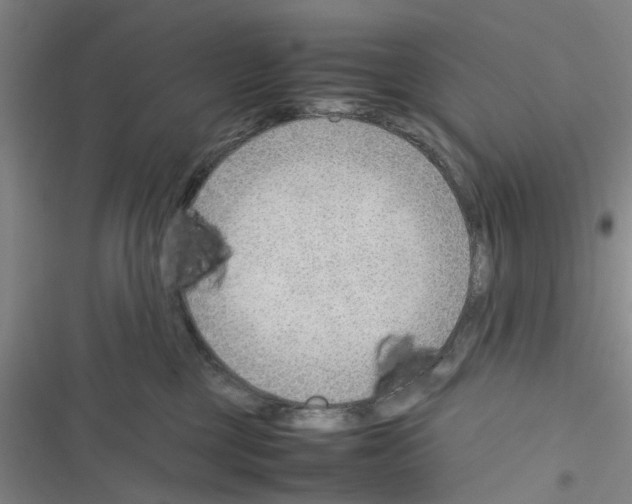 X0000116350377201001131111