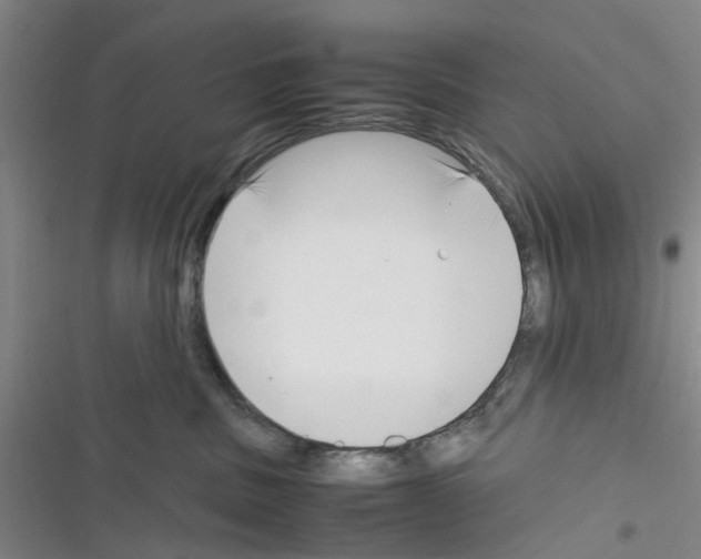 X0000116350379201001131111