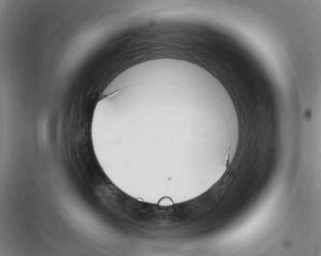 X0000116350382201001131111