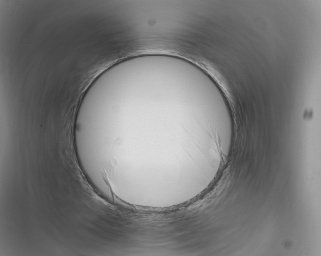 X0000116350385201001131111