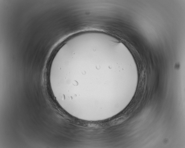 X0000116350388201001131111