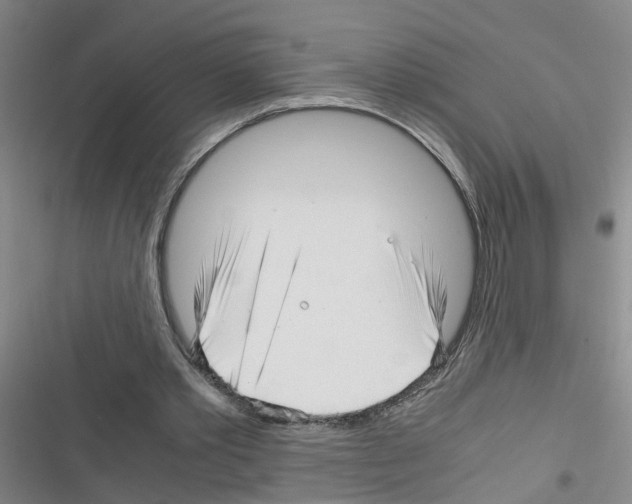 X0000116350389201001131111