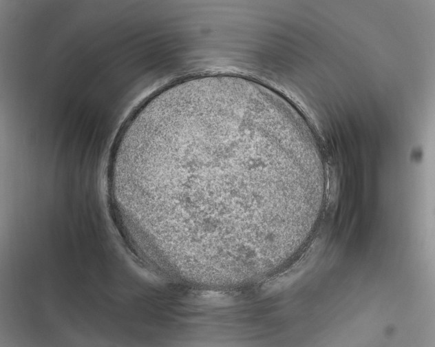 X0000116350390201001131110