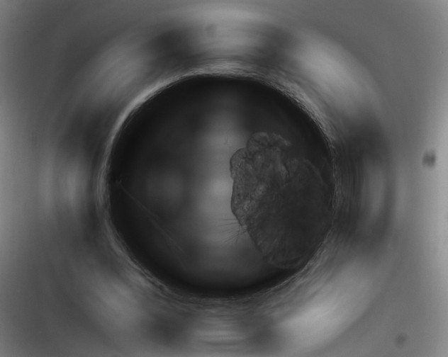 X0000116350392201001131110
