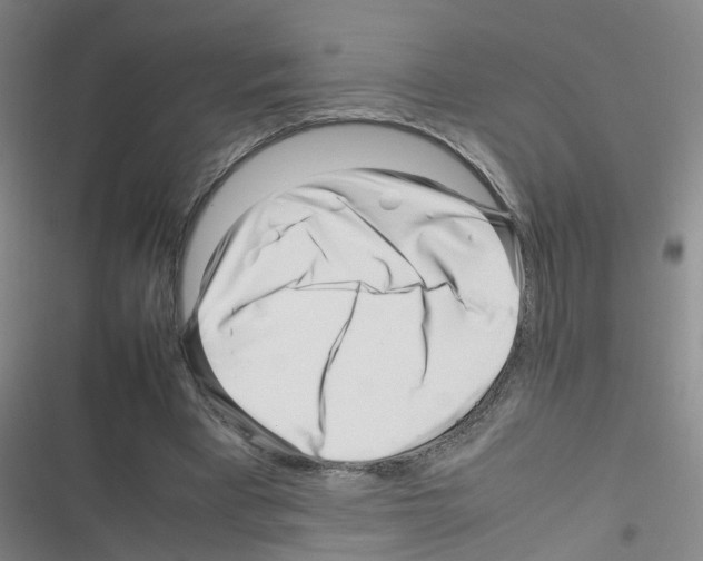 X0000116350393201001131110