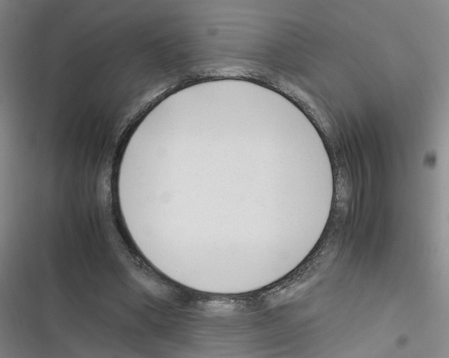 X0000116350394201001131110