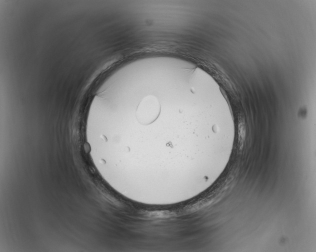 X0000116350396201001131110