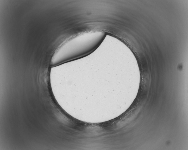 X0000116350397201001131110
