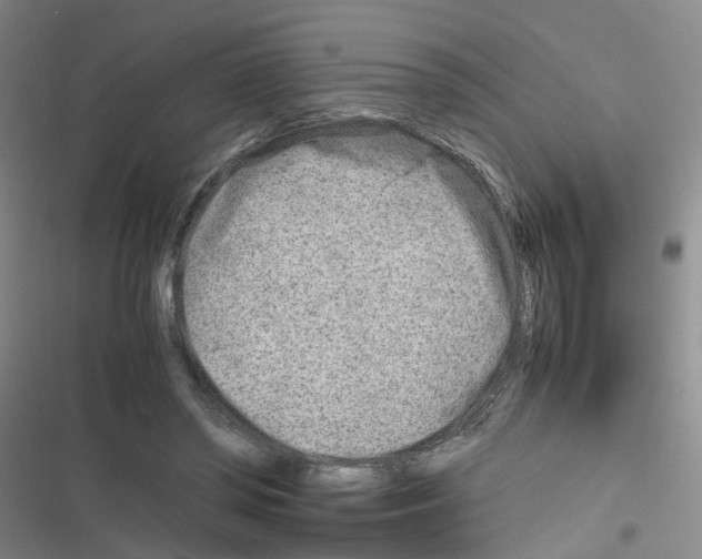 X0000116350398201001131110