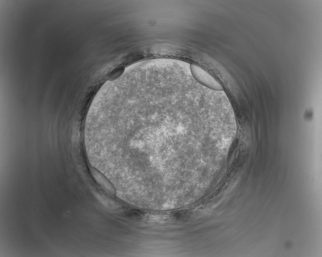 X0000116350401201001131110