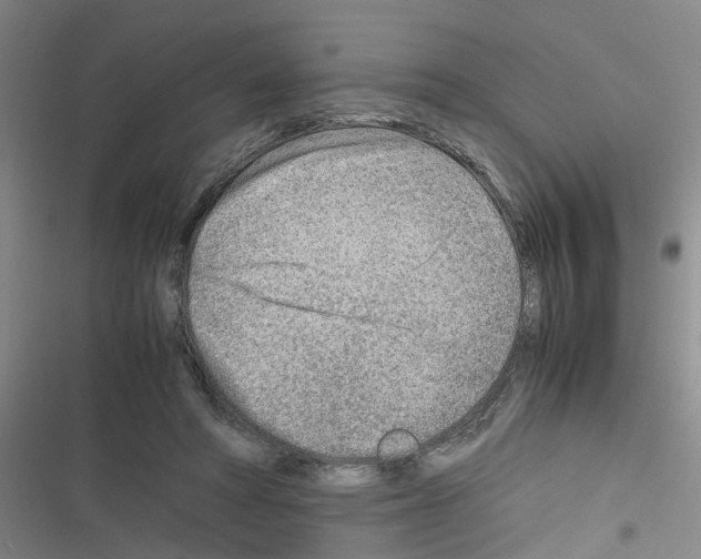 X0000116350402201001131110