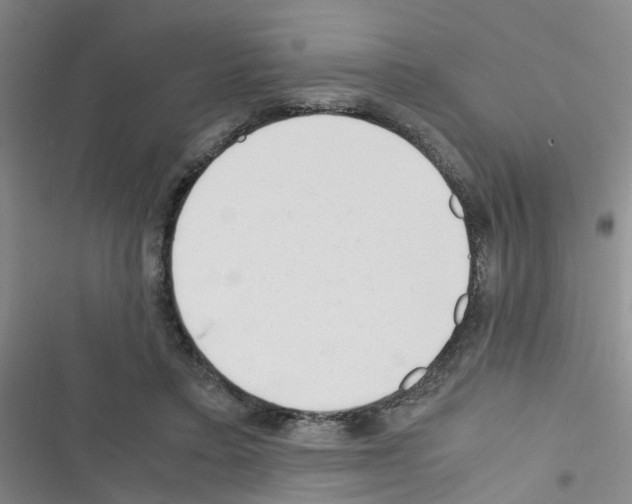 X0000116350403201001131110