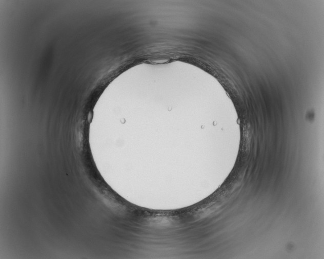 X0000116350404201001131110