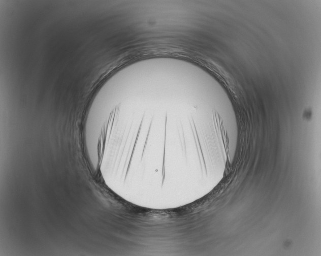 X0000116350405201001131110