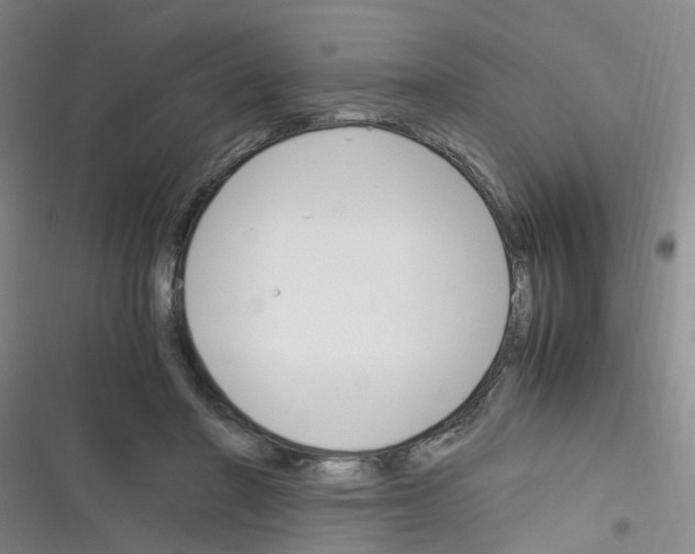 X0000116350406201001131110