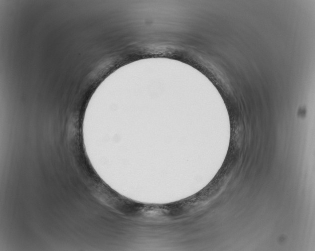 X0000116350407201001131110