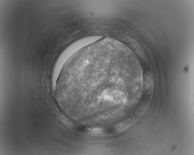 X0000116350409201001131110