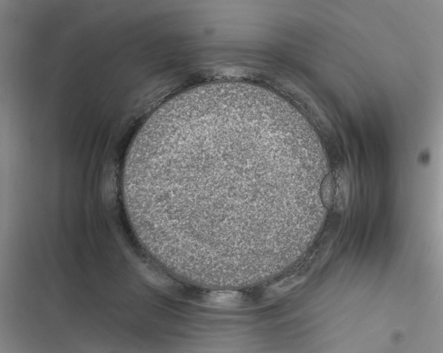 X0000116350410201001131110