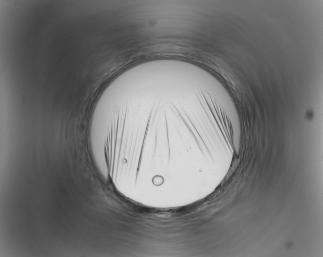 X0000116350411201001131110