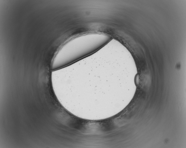 X0000116350413201001131110