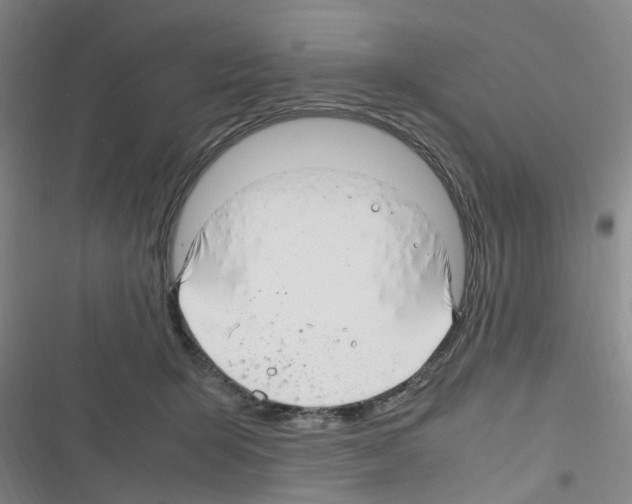 X0000116350415201001131110