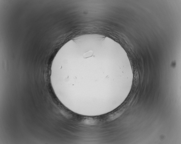 X0000116350416201001131110