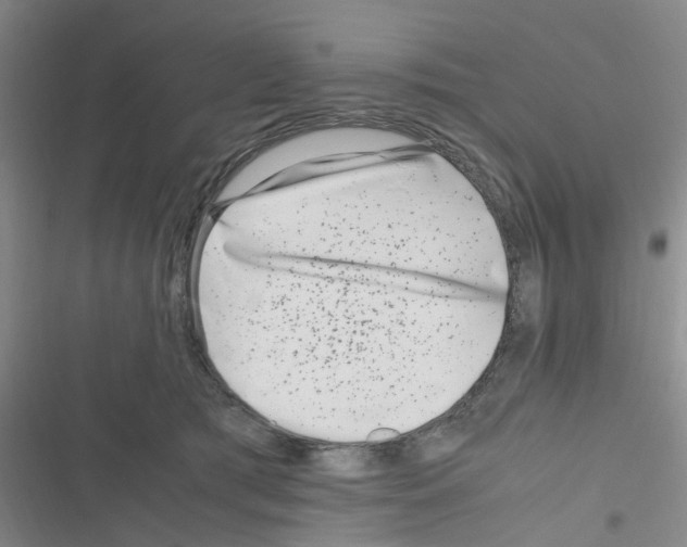 X0000116350417201001131110