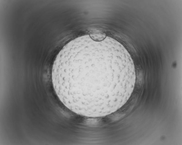 X0000116350418201001131110