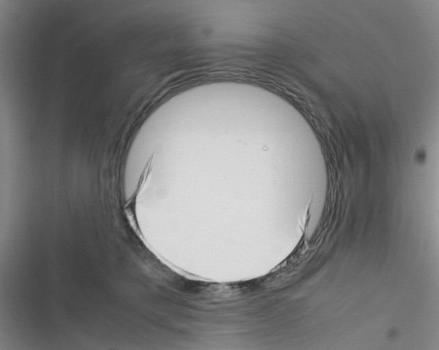 X0000116350421201001131110