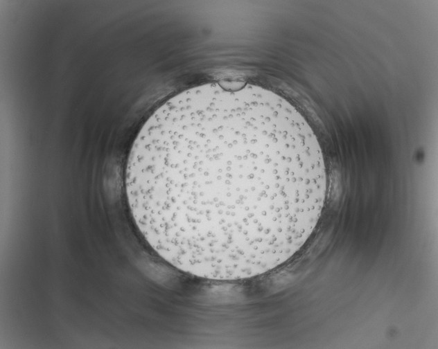 X0000116350426201001131110