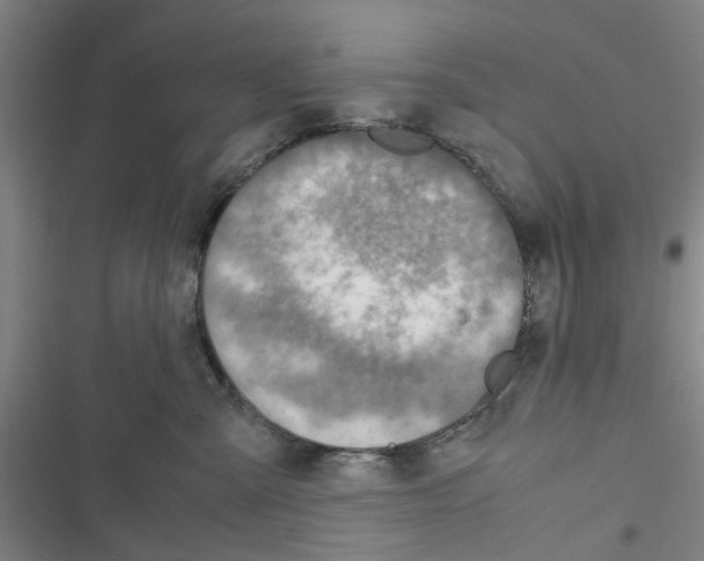 X0000116350427201001131110