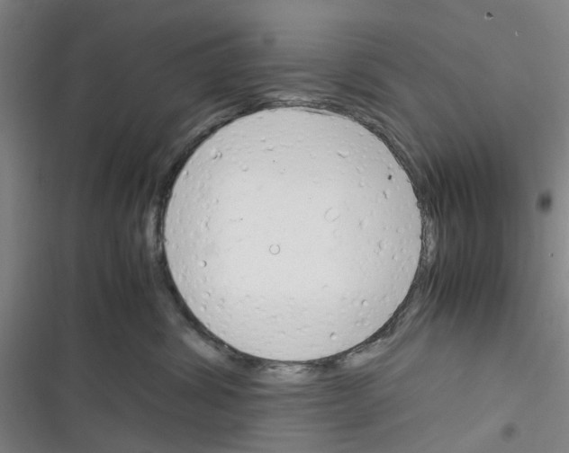 X0000116350428201001131110