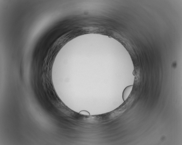 X0000116350430201001131110