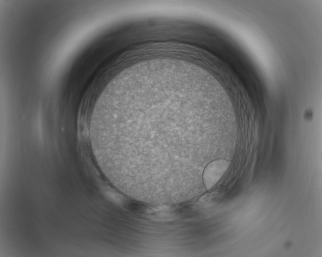X0000116350431201001131110