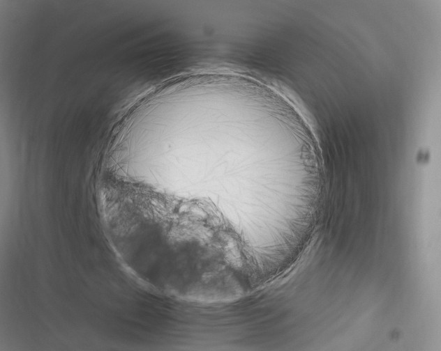 X0000116350433201001131109