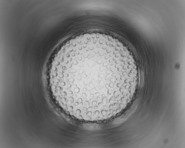 X0000116350435201001131109