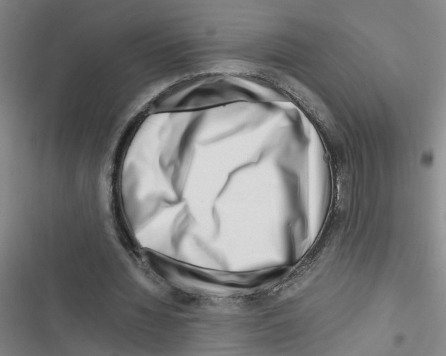 X0000116350436201001131109