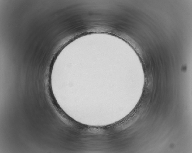 X0000116350437201001131109