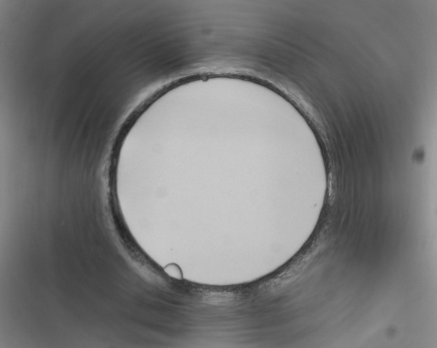 X0000116350438201001131109