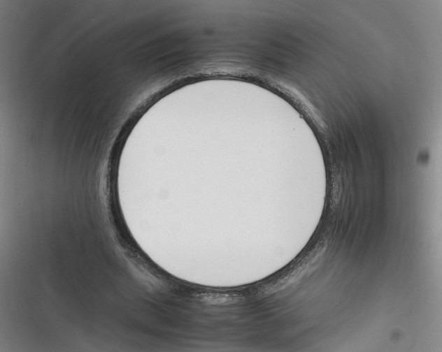 X0000116350439201001131109
