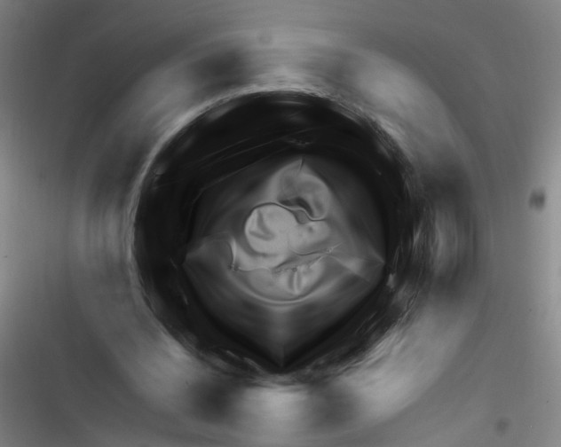 X0000116350440201001131109
