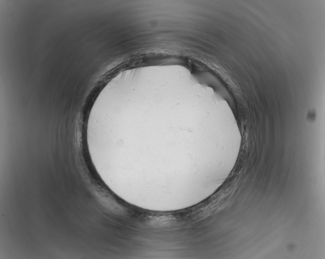 X0000116350446201001131109