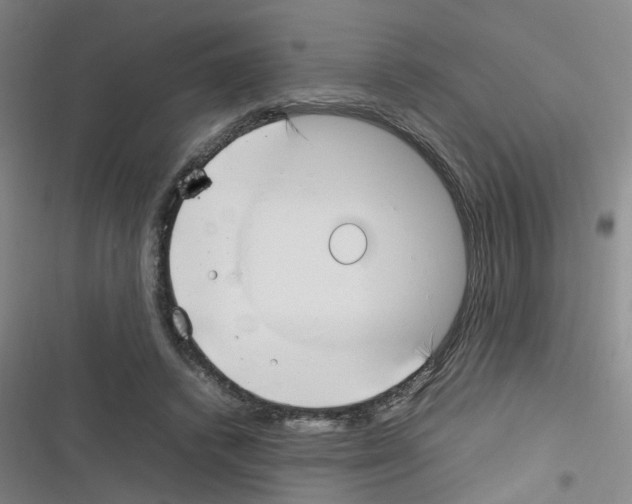 X0000116350448201001131109