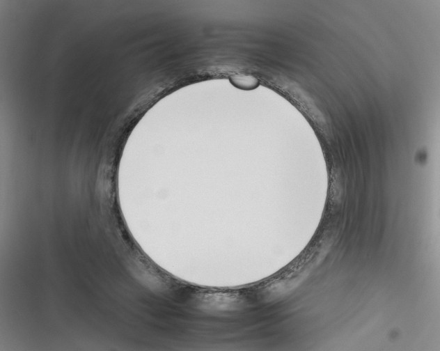 X0000116350449201001131109