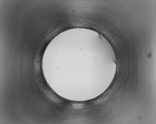 X0000116350450201001131109