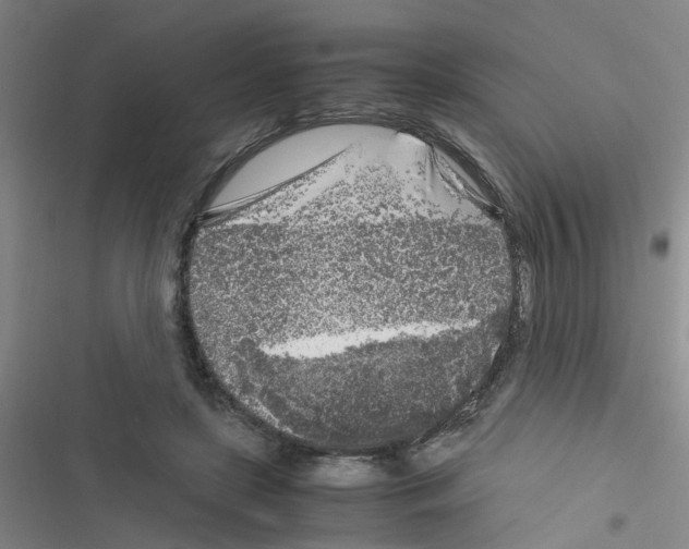 X0000116350451201001131110